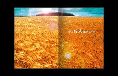 食品畫(huà)冊(cè)設(shè)計(jì)