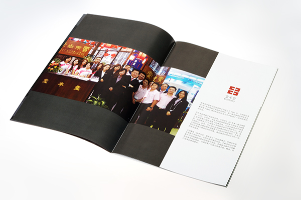 北京vi設(shè)計 全套vi設(shè)計 vi手冊設(shè)計報價